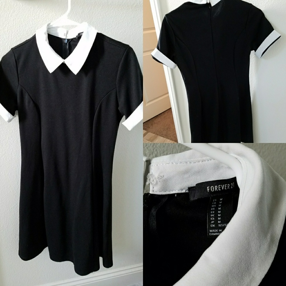 Contrast Collared Dress